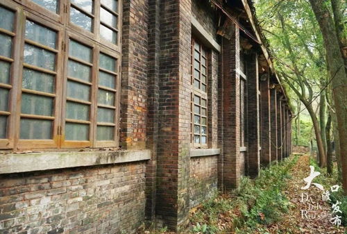 數字技術在文物保護中的應用 以馬王場遺址、白沙沱大橋和第二十一兵工廠火工所舊址保護范圍劃定為例